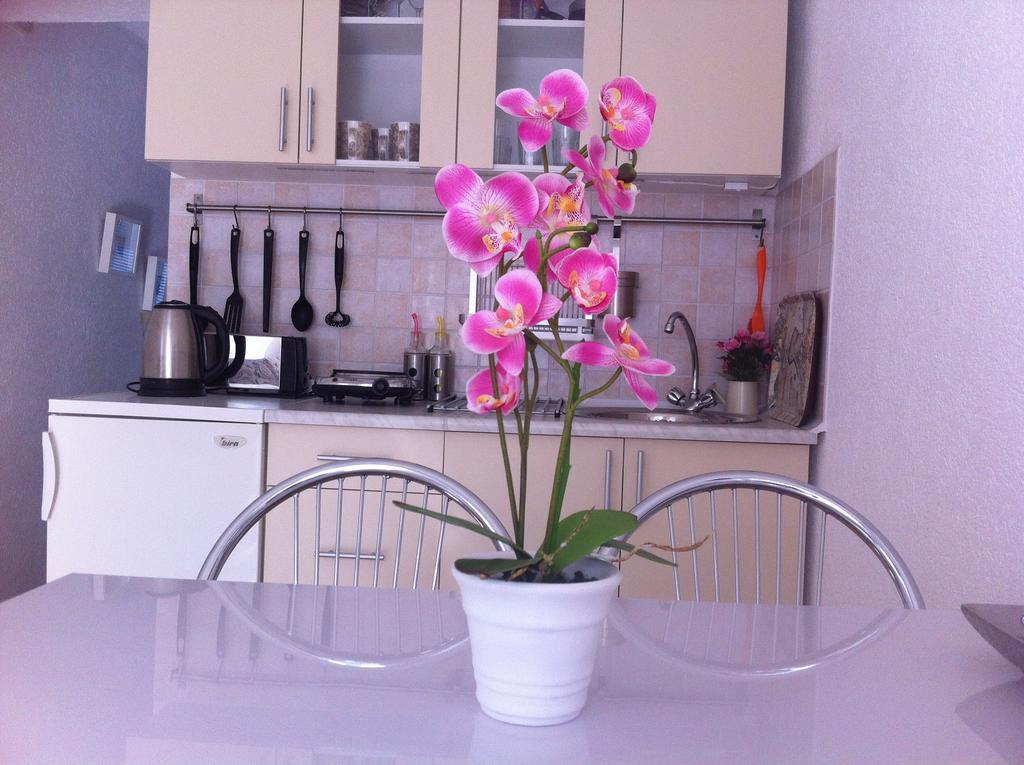 Apartment Elma Високо Екстериор снимка